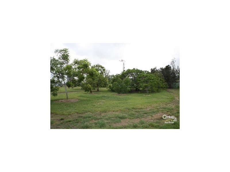 81 Wedel Road, Alton Downs QLD 4702