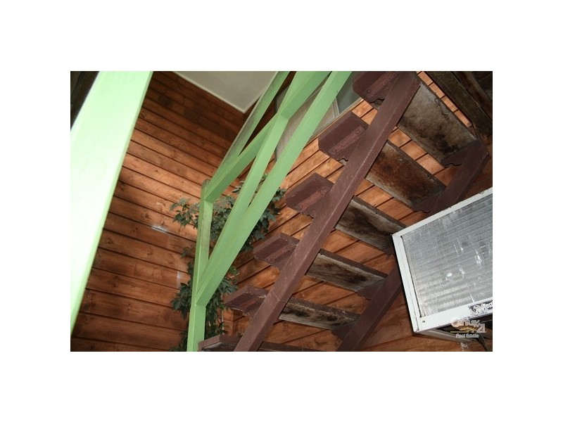 4 Burns Street, Frenchville QLD 4701