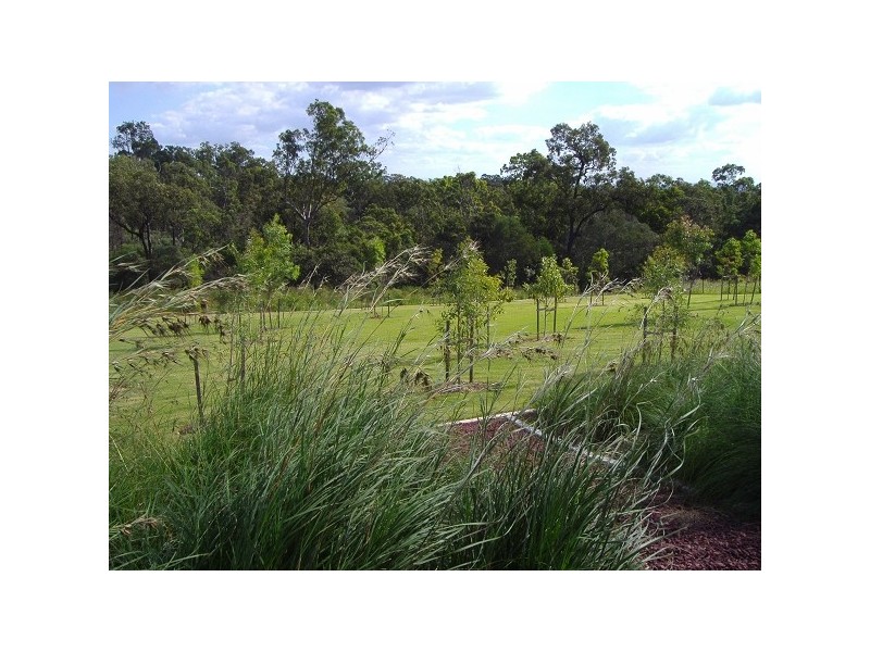 54 Jarrah Street, Moggill QLD 4070