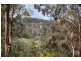 554 Grandview Road, Pullenvale QLD 4069