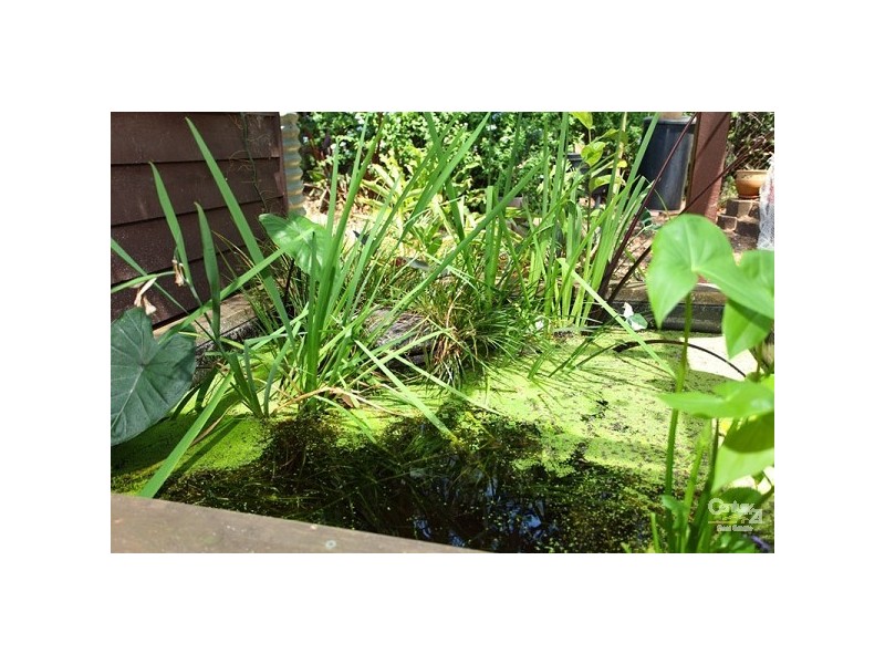 32 Lentara Street, Kenmore QLD 4069