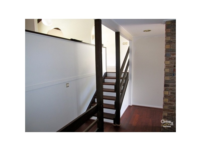 11 Chantilly Street, Chapel Hill QLD 4069