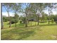 448 Brookfield Road, Kenmore Hills QLD 4069