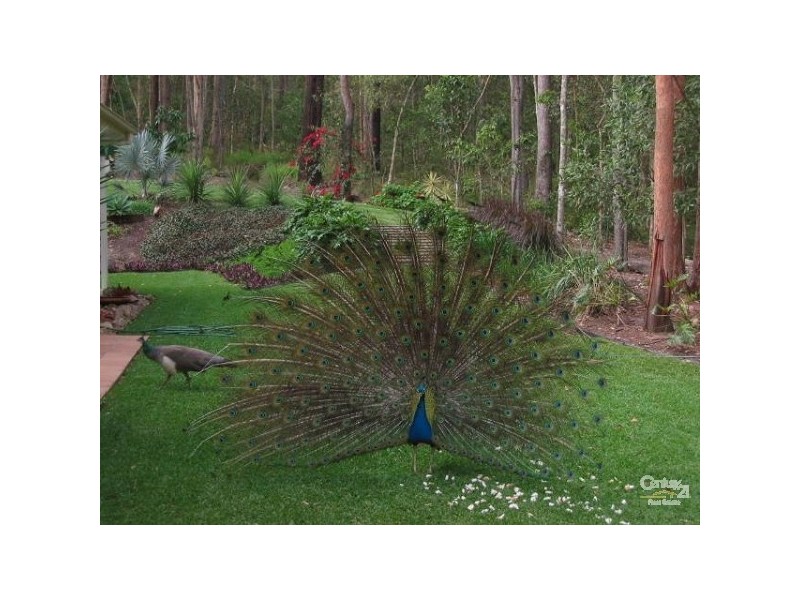 234B Sugars Road, Anstead QLD 4070