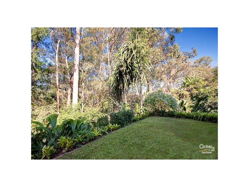 3 Dyer Street, Chapel Hill QLD 4069