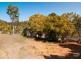 77 Parasol Street, Bellbowrie QLD 4070