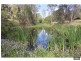 40 Primley Street, Pullenvale QLD 4069