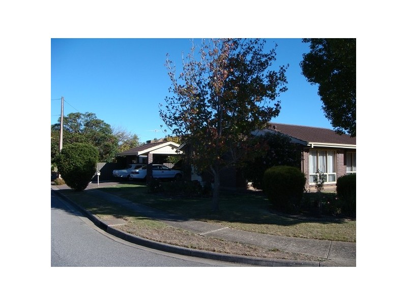 35 Mitchell Street, Glengowrie SA 5044