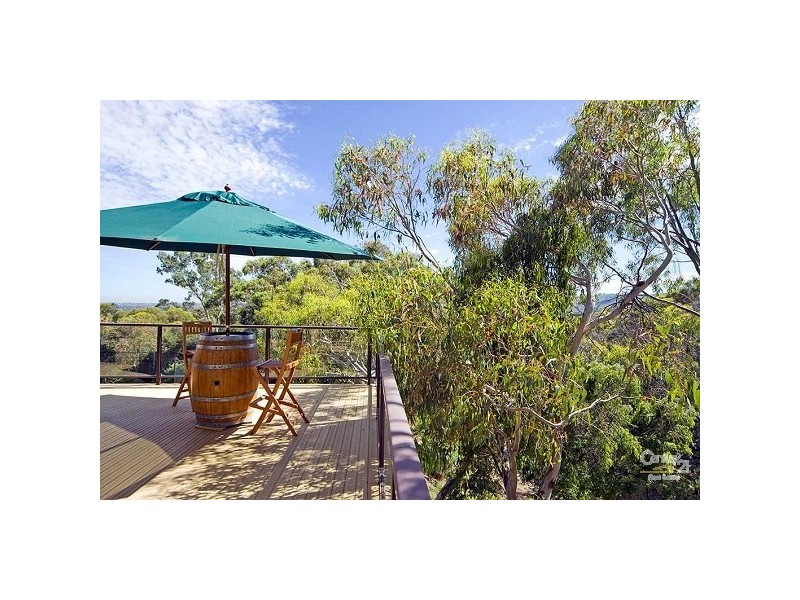 91 Addison Avenue, Athelstone SA 5076