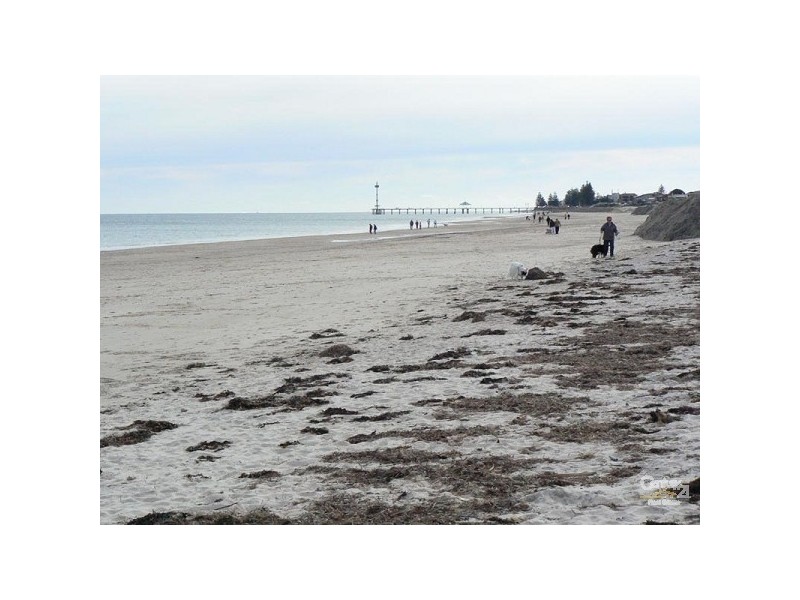 23 Levistone Street, Seaton SA 5023