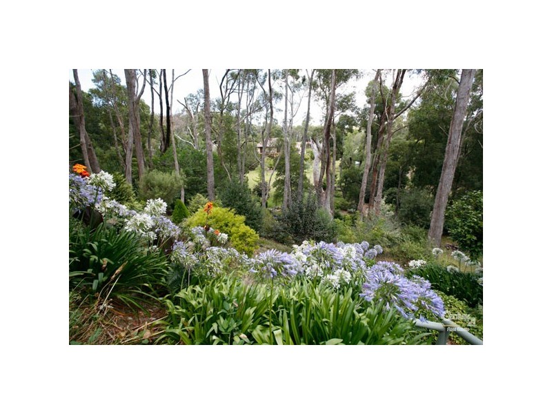 8 Boomerang Crescent, Aldgate SA 5154