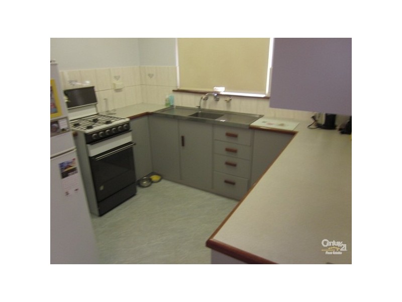 48 Hallett Ave, Tranmere SA 5073