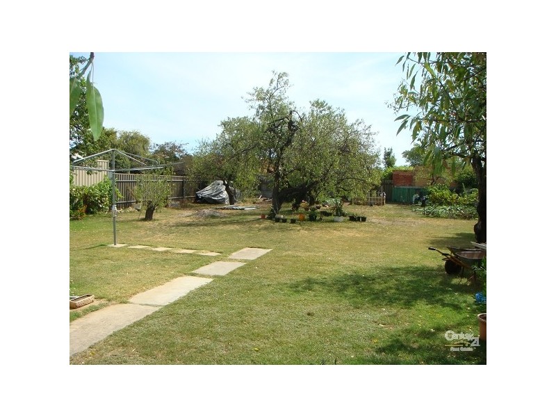 32 BEAUCHAMP Street, Kurralta Park SA 5037