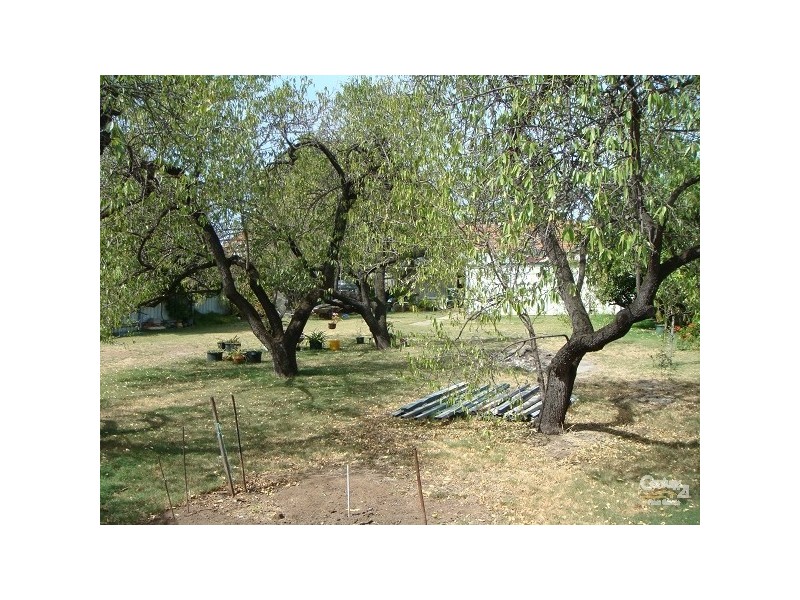 32 BEAUCHAMP Street, Kurralta Park SA 5037