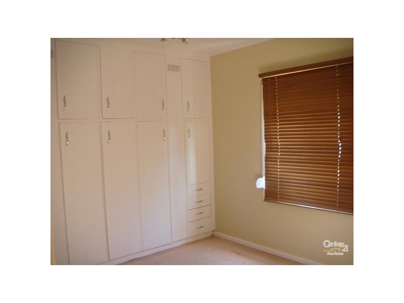 39 Doreen Street, Oaklands Park SA 5046