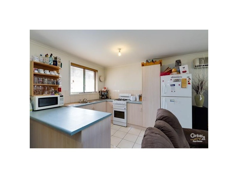 19 Bruce Avenue, Mitchell Park SA 5043