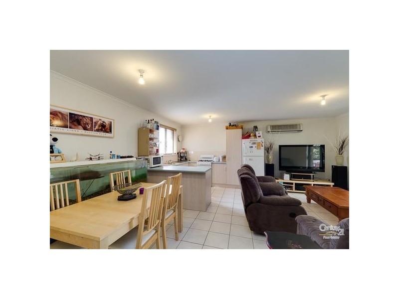 19 Bruce Avenue, Mitchell Park SA 5043