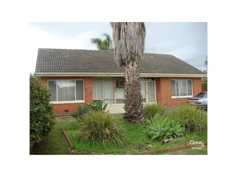 77 Finniss Street, Marion SA 5043