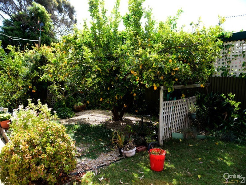 27 Oakmont Crescent, Novar Gardens SA 5040