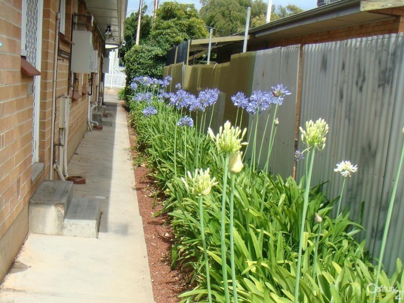 3/11 Waratah Street, Seacliff SA 5049