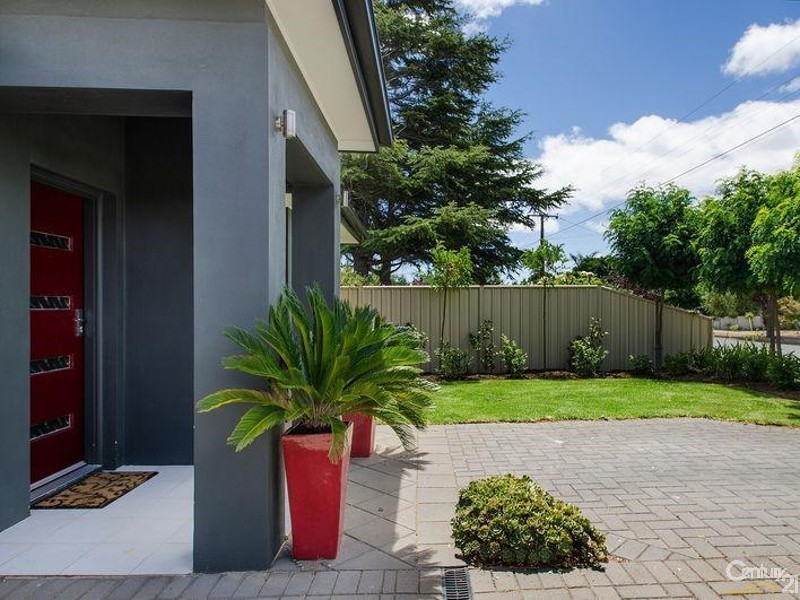 14 Mattson Avenue, Warradale SA 5046