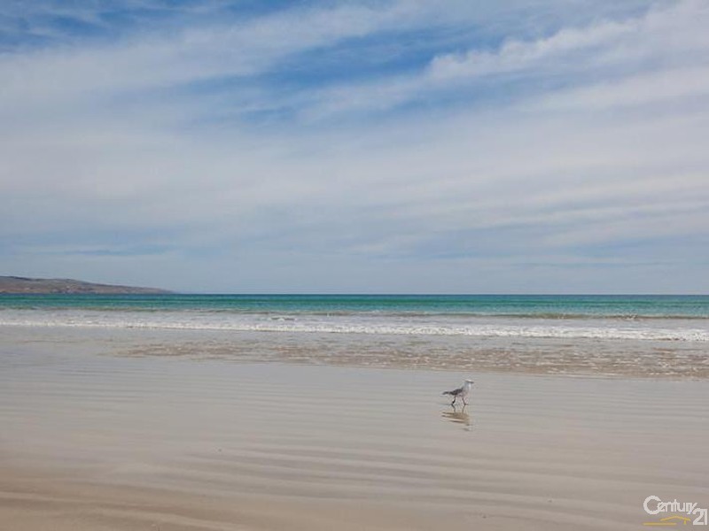 12 Esplanade, Christies Beach SA 5165