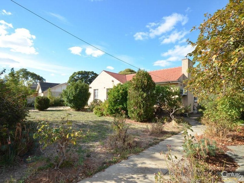 49 Johnstone Road, Oaklands Park SA 5046