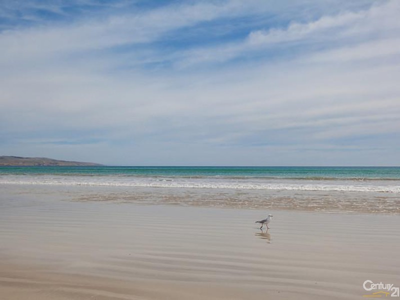 51 Trumara Road, Marino SA 5049