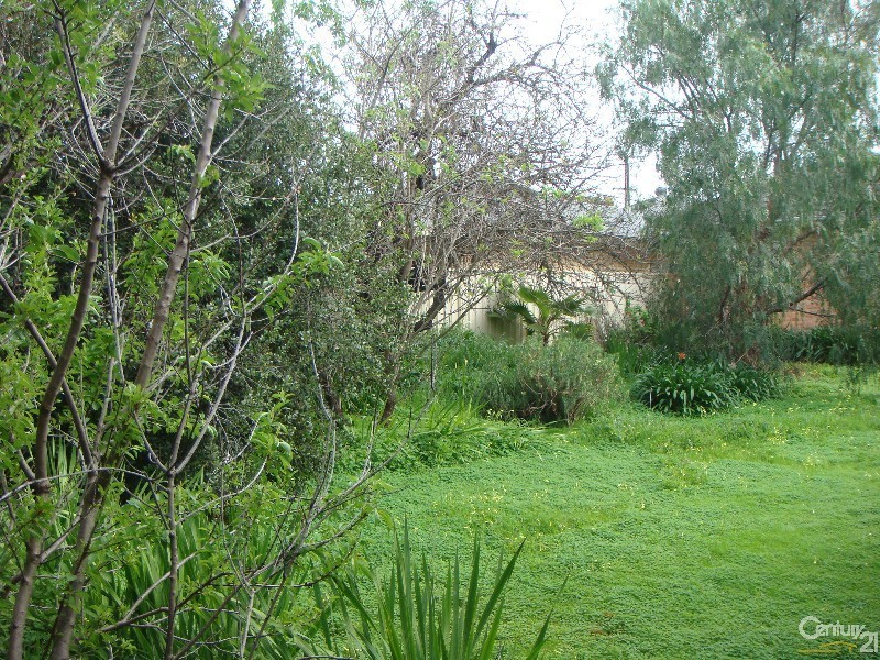 89 Dunrobin Road, Warradale SA 5046