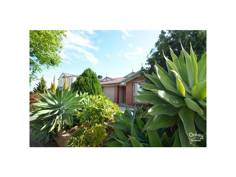 22 Holdfast Drive, Sheidow Park SA 5158