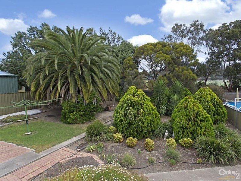 7 Barwell Avenue, Seacliff SA 5049