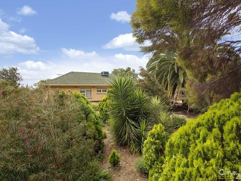 7 Barwell Avenue, Seacliff SA 5049