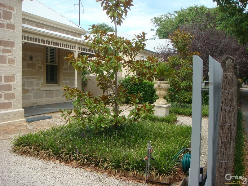 203 Wattle Street, Malvern SA 5061