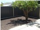 14 Andrew Ave, Marion SA 5043