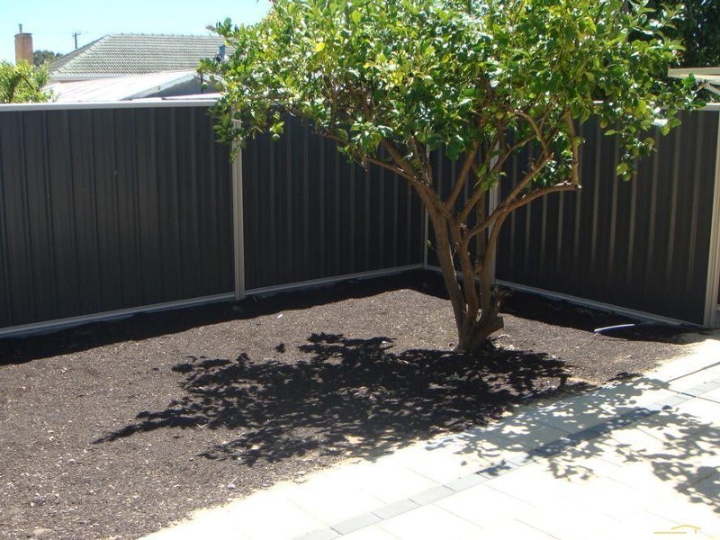 14 Andrew Ave, Marion SA 5043
