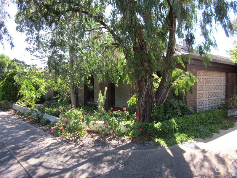 56 Lewis Street, Brighton SA 5048
