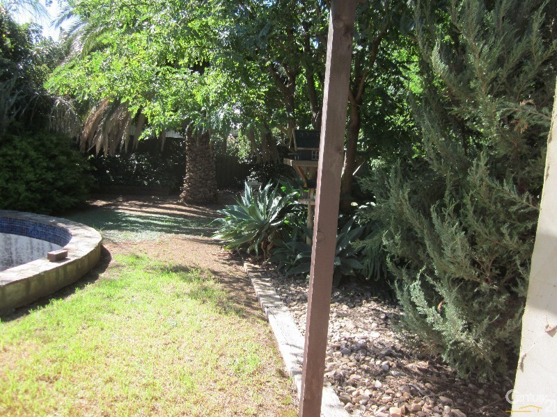 56 Lewis Street, Brighton SA 5048