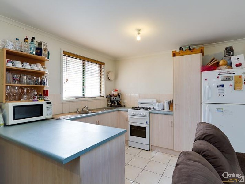 19 Bruce Avenue, Mitchell Park SA 5043
