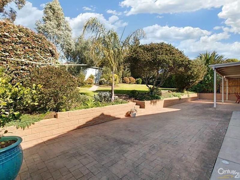 23 Morgan Avenue, Seaview Downs SA 5049