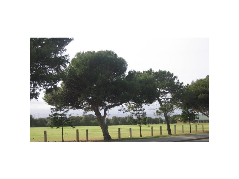 7/21 Military Road, West Beach SA 5024