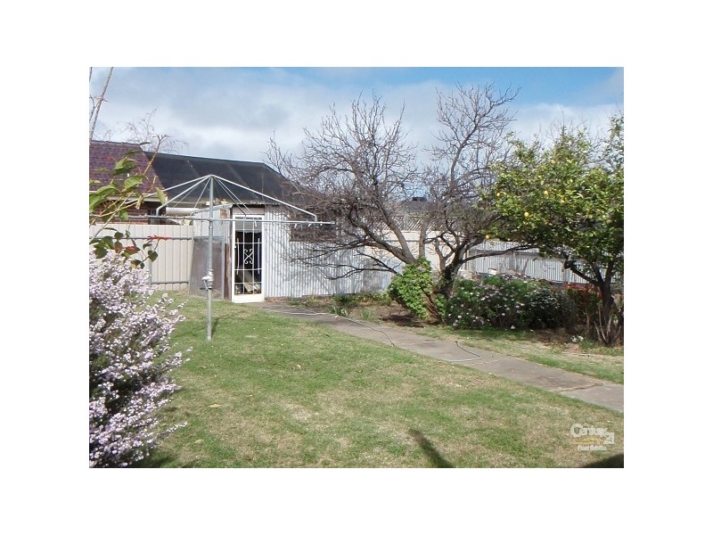 6 Grallina Street, Lockleys SA 5032