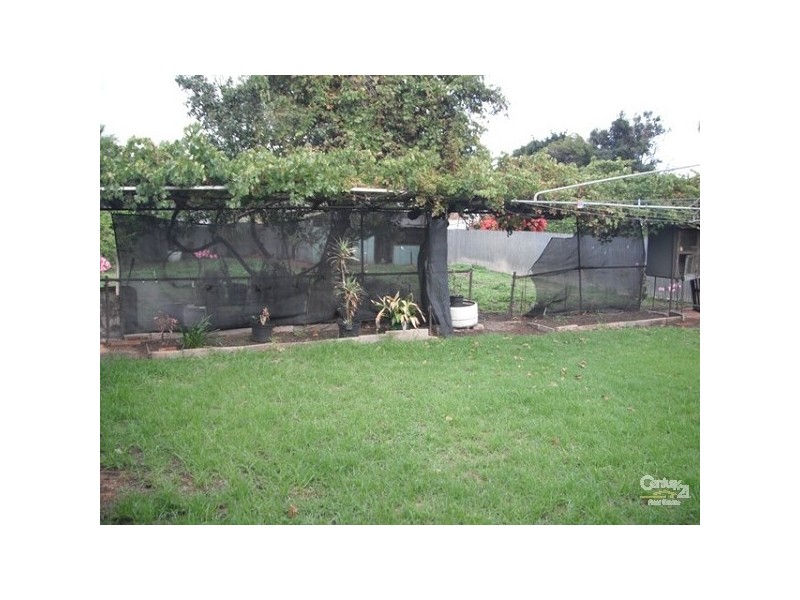 6 Shelley Avenue, North Plympton SA 5037