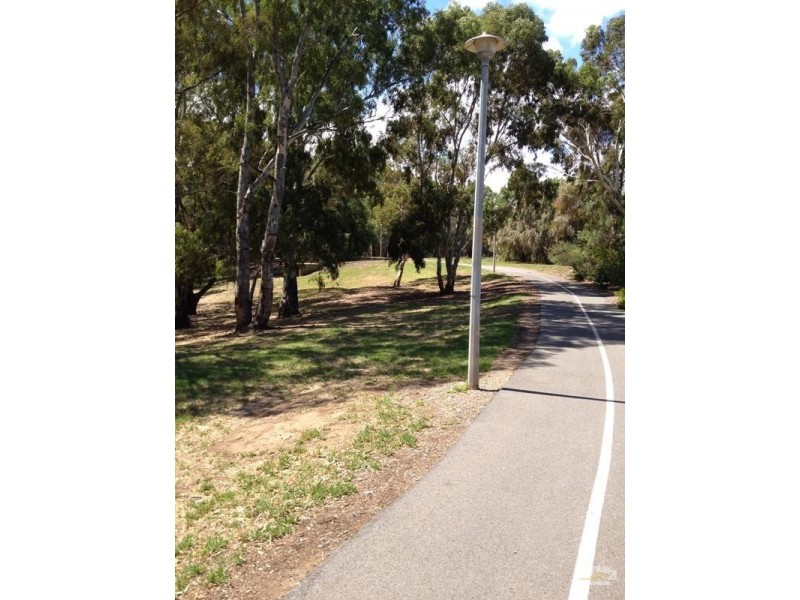 3 Ron Wait Court, Lockleys SA 5032