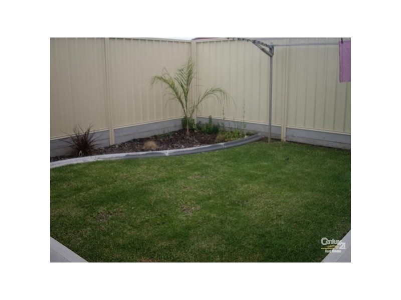 1/2 McMurtrie Place, Seaton SA 5023