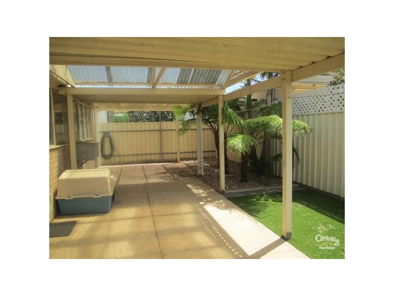 11 Greville Avenue, Flinders Park SA 5025