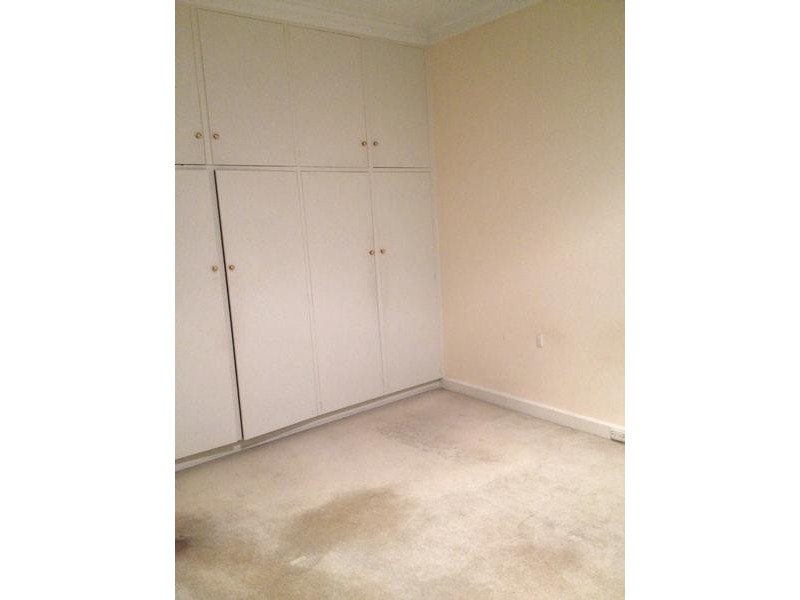 16 Strathmore Avenue, Lockleys SA 5032