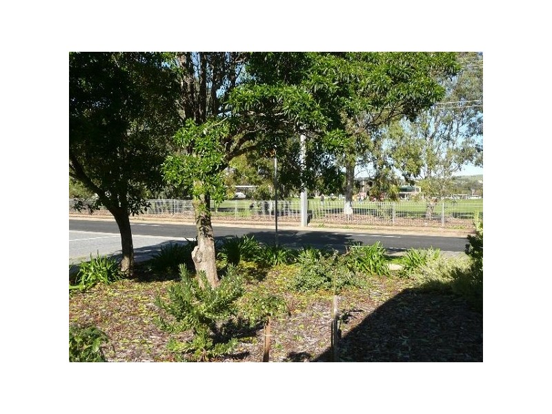 15 Norfolk Road, Marion SA 5043
