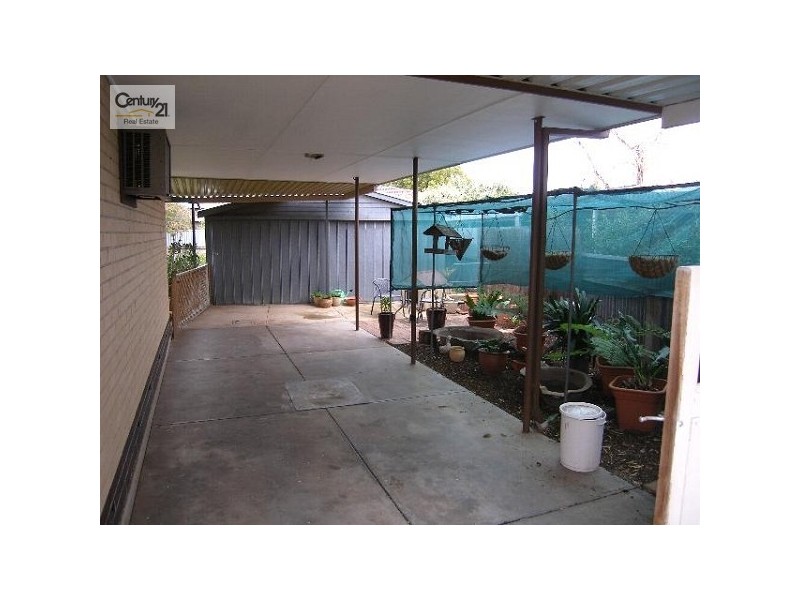12 Phills Court, Warradale SA 5046