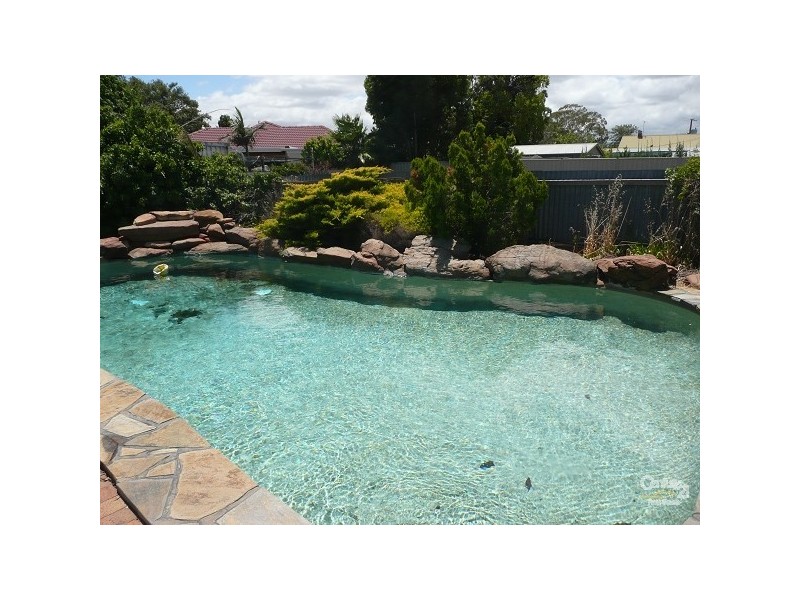 7 Shearing, Oaklands Park SA 5046
