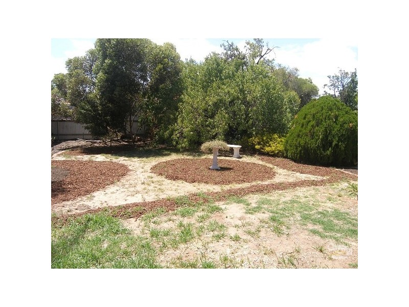 15 Ray Street, South Plympton SA 5038